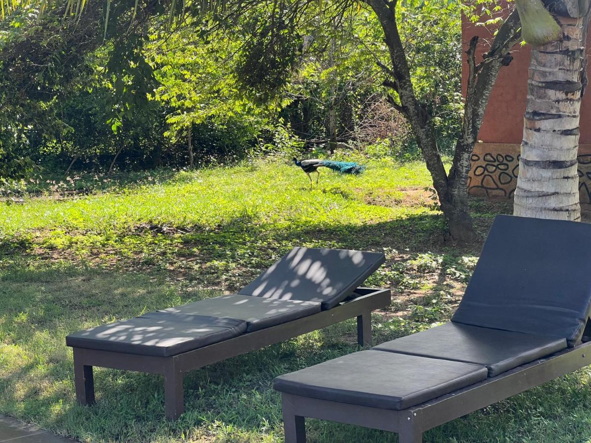 Yala Peace Cottages Tissamaharama Εξωτερικό φωτογραφία