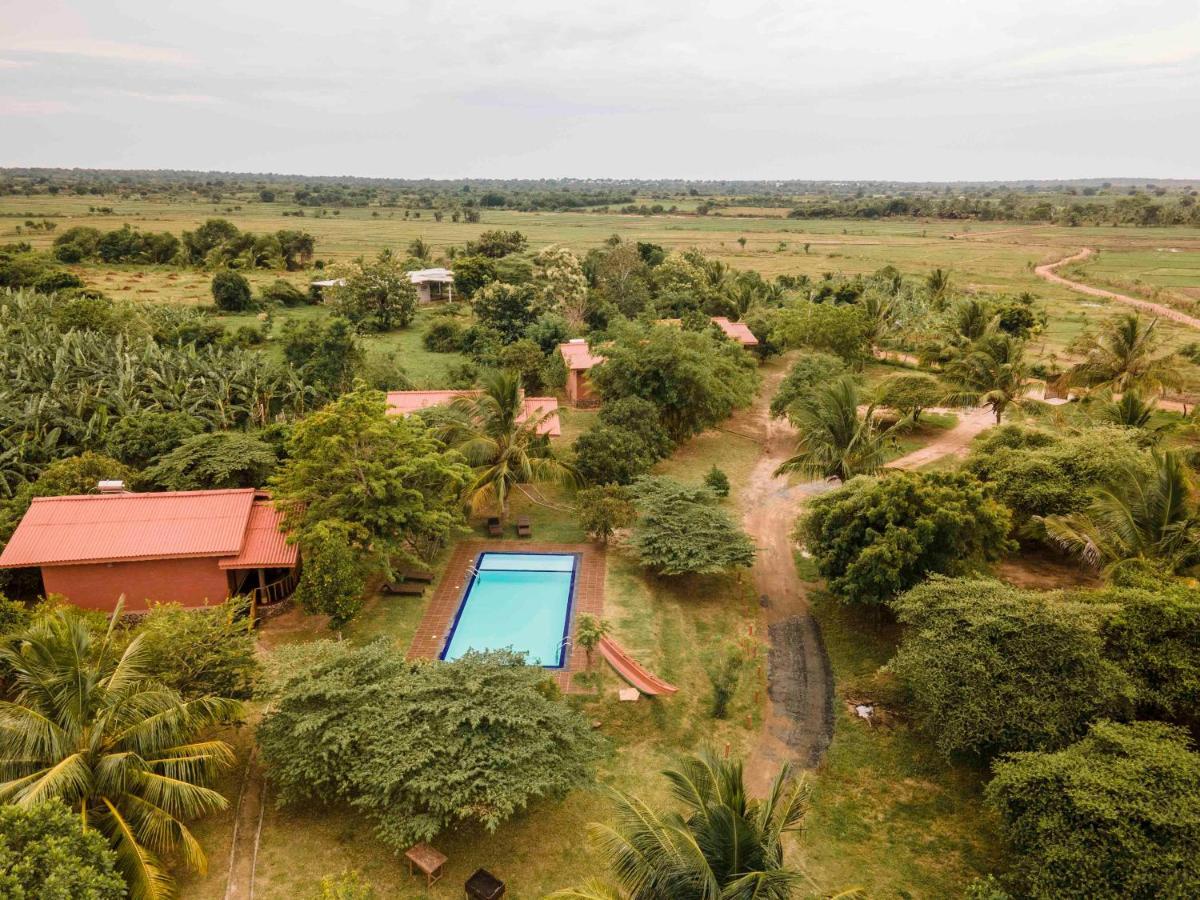 Yala Peace Cottages Tissamaharama Εξωτερικό φωτογραφία