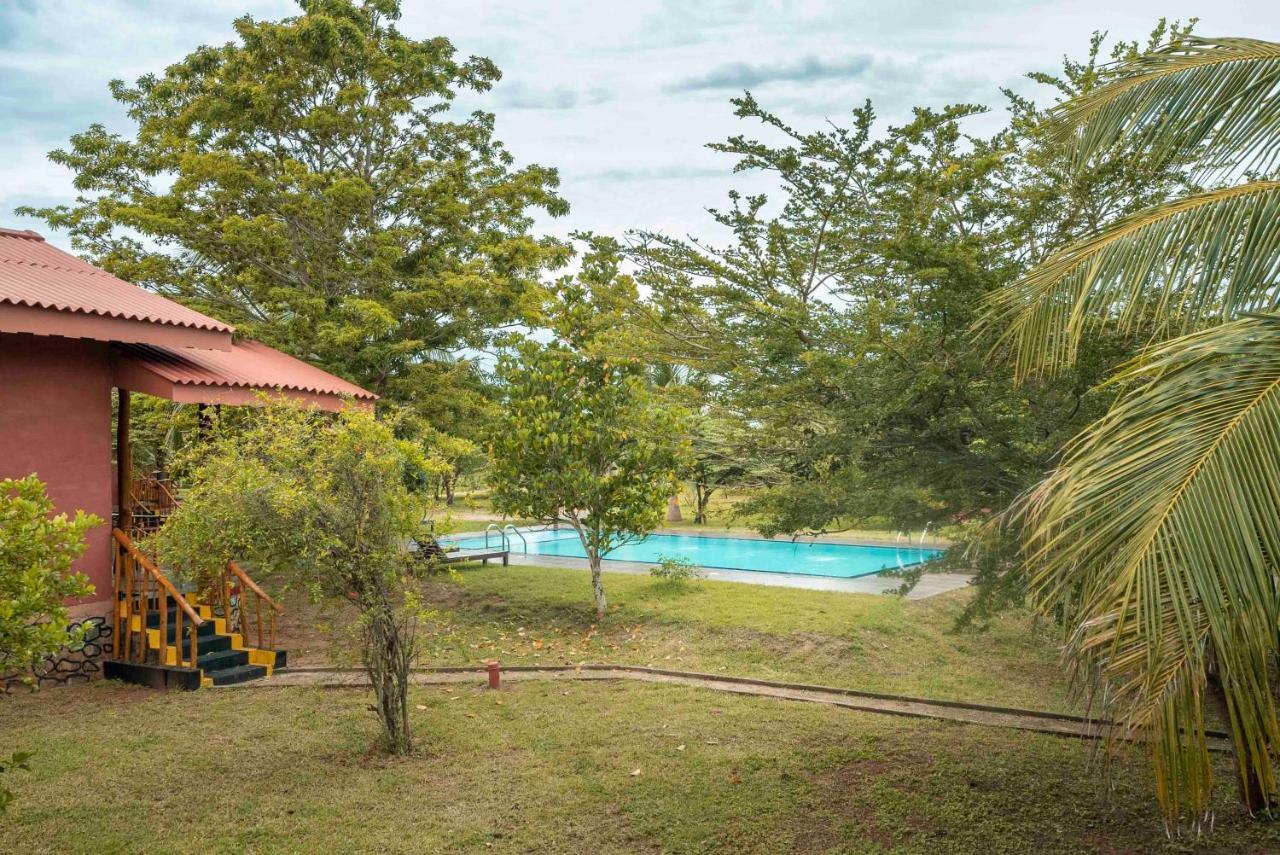 Yala Peace Cottages Tissamaharama Εξωτερικό φωτογραφία