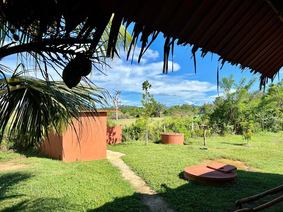 Yala Peace Cottages Tissamaharama Εξωτερικό φωτογραφία