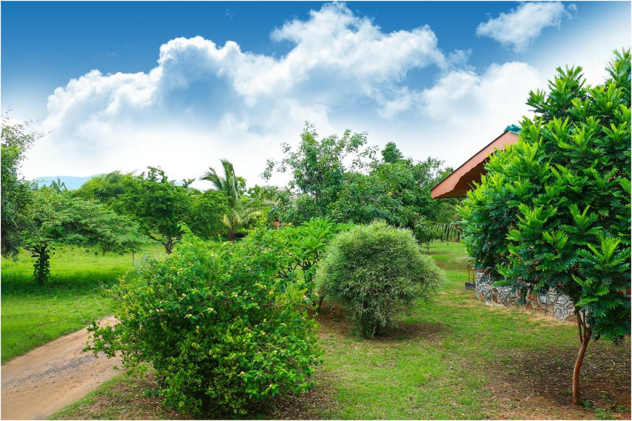 Yala Peace Cottages Tissamaharama Εξωτερικό φωτογραφία
