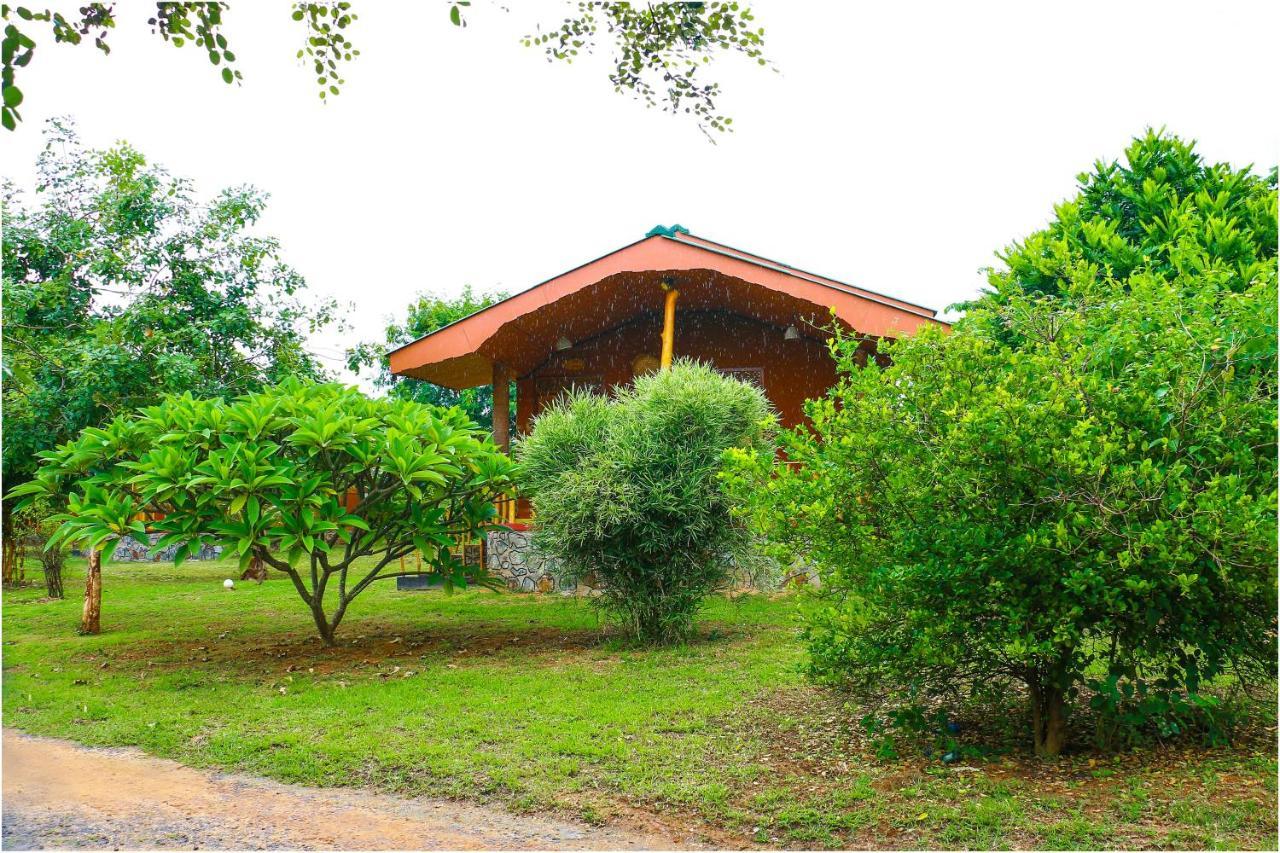 Yala Peace Cottages Tissamaharama Εξωτερικό φωτογραφία